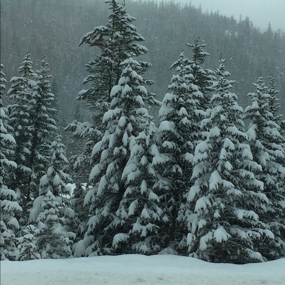 Meet your Posher, Brian - Picture 1 of 1